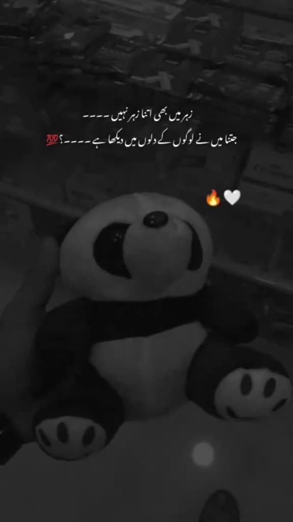 @Mehar Zada 🤗🤗💞