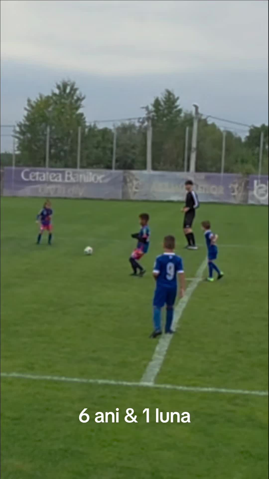 @Zian Leuţul Sudului