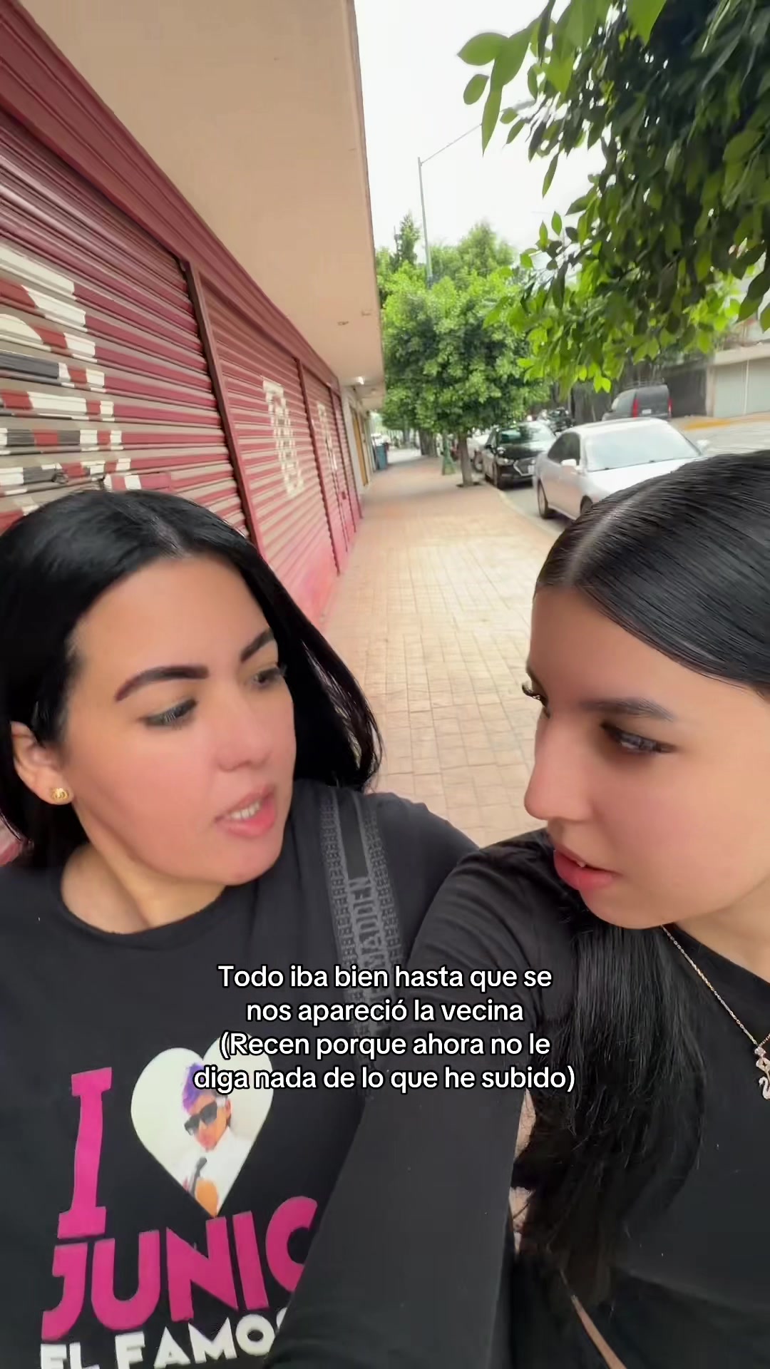 @valelapicky