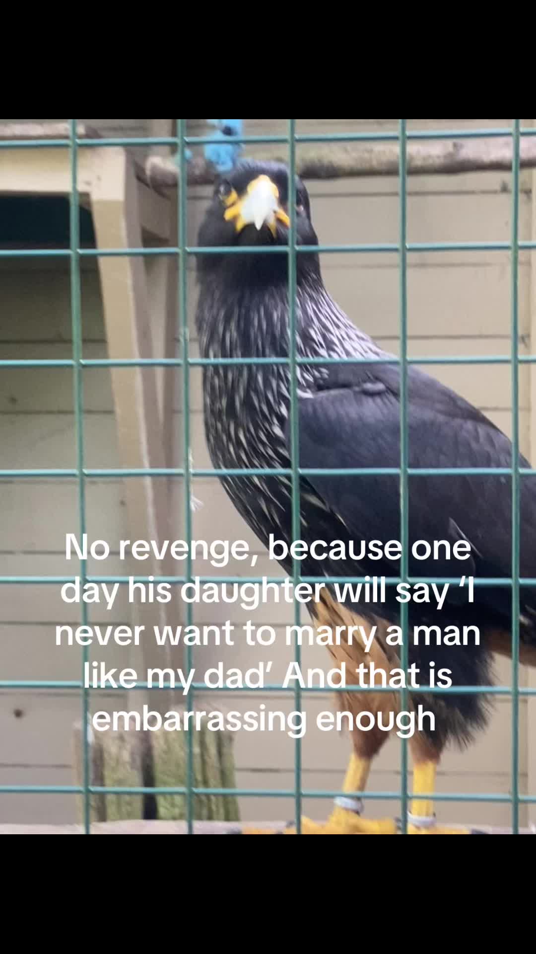 @Rach