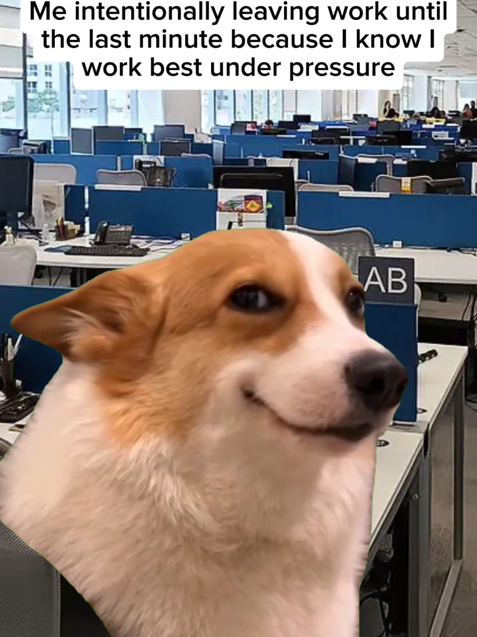 @Office Bubble