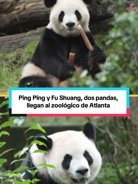 @El País