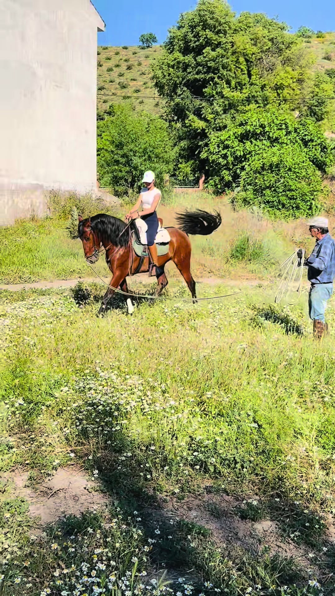 @Sandra Molina🐎🇪🇸