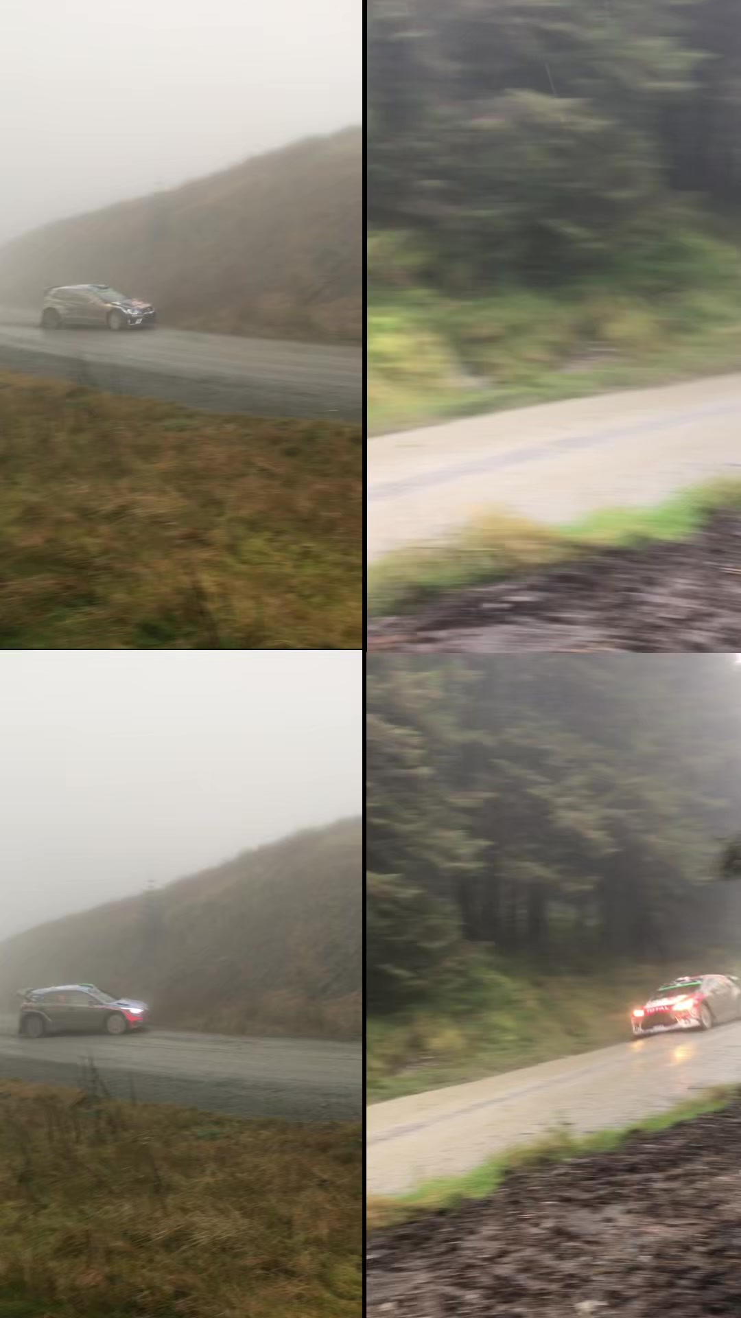 @Rally__Hub