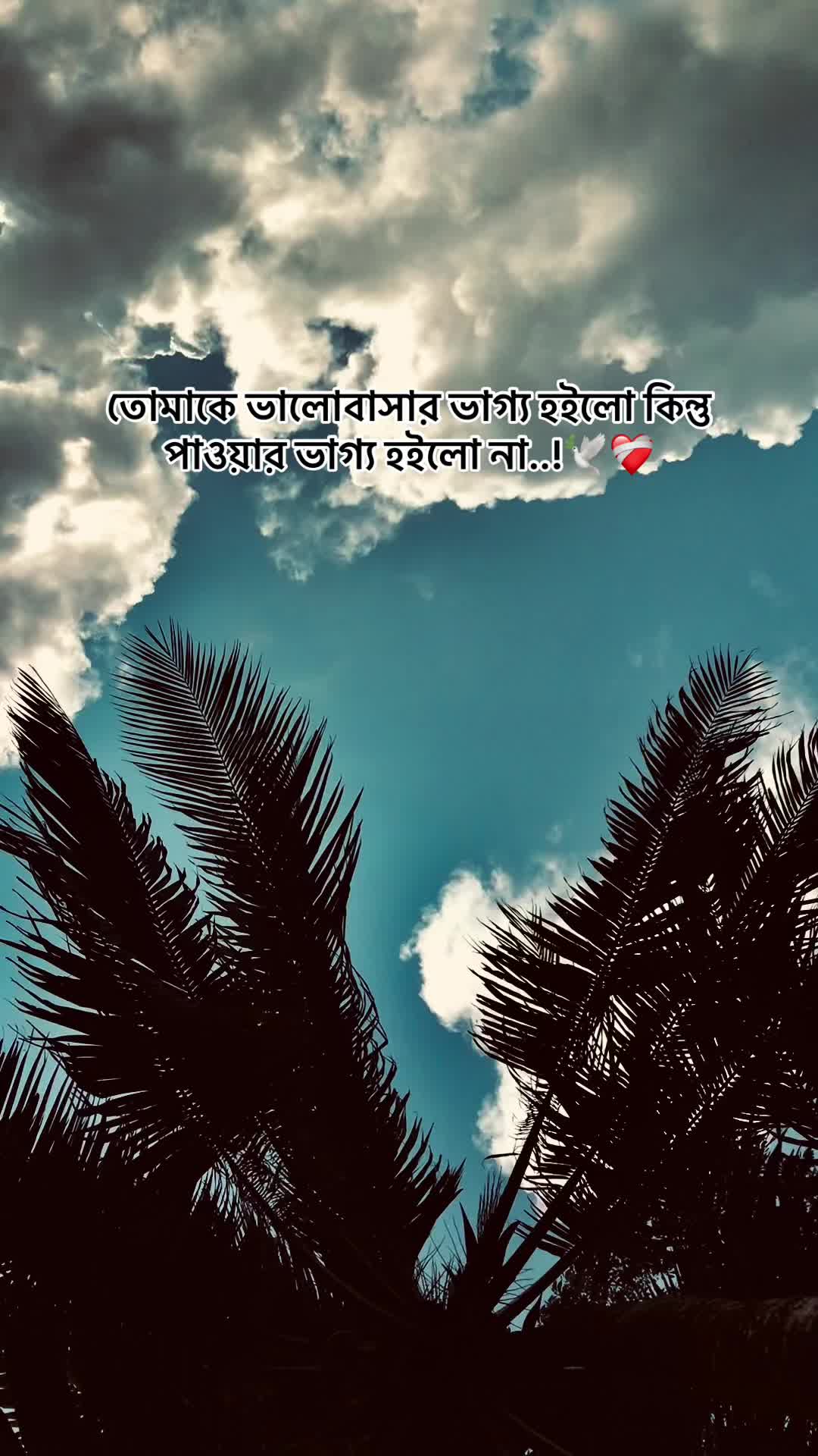 @the_spydoo🕸️ 🥏
