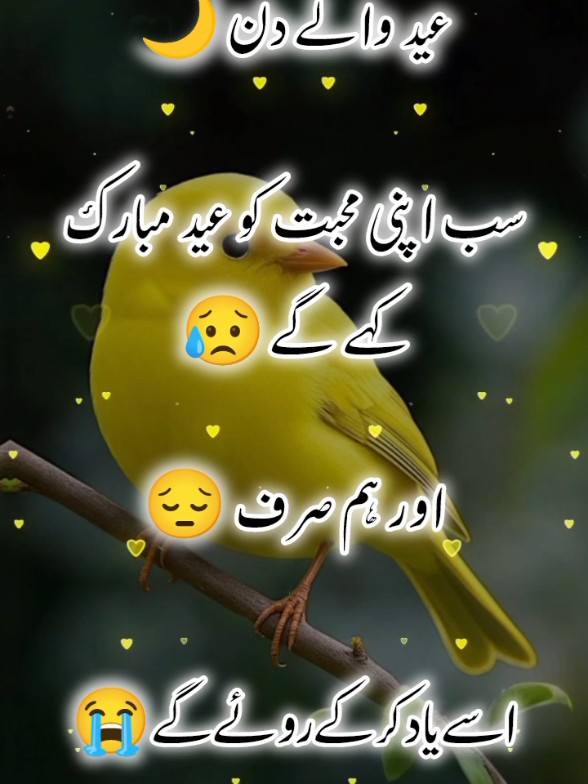 @اردو شاعری 🦋