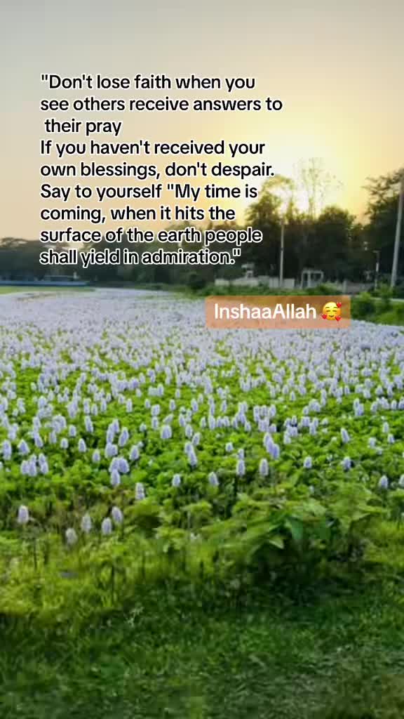 @🦋 راحي