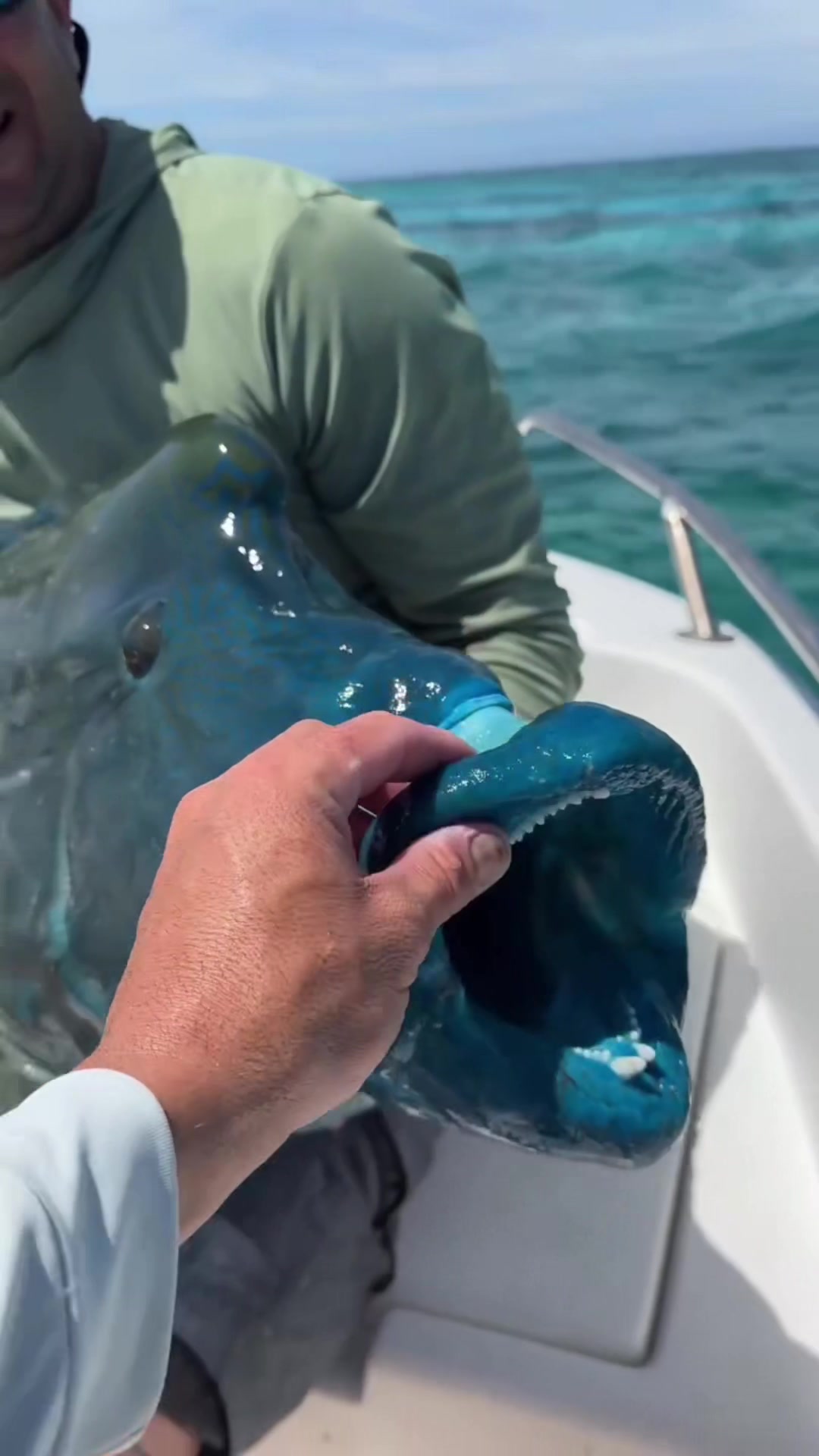 @FishTokDaily