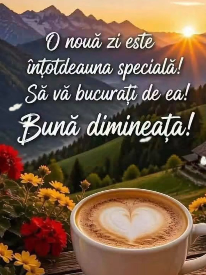@Violeta Ana Damaschin