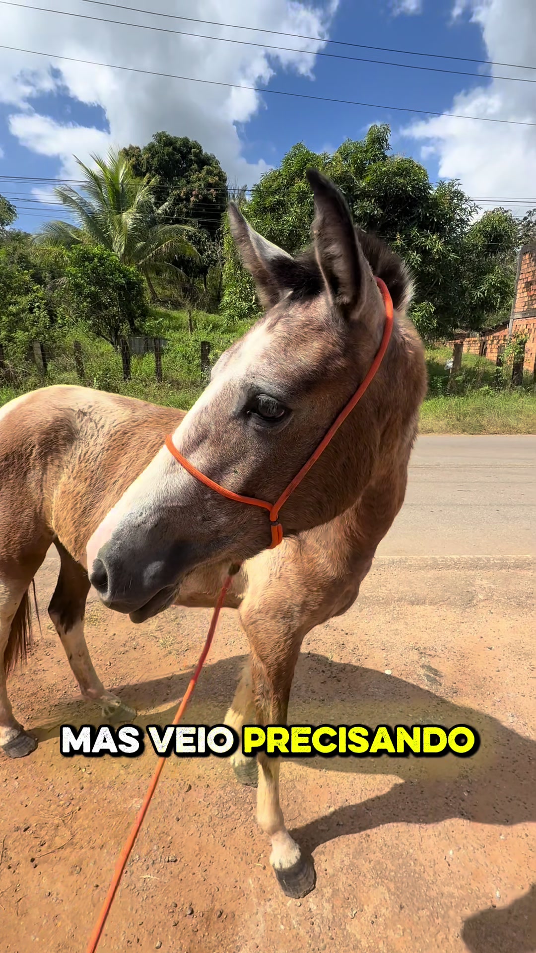 @Talili Mathias