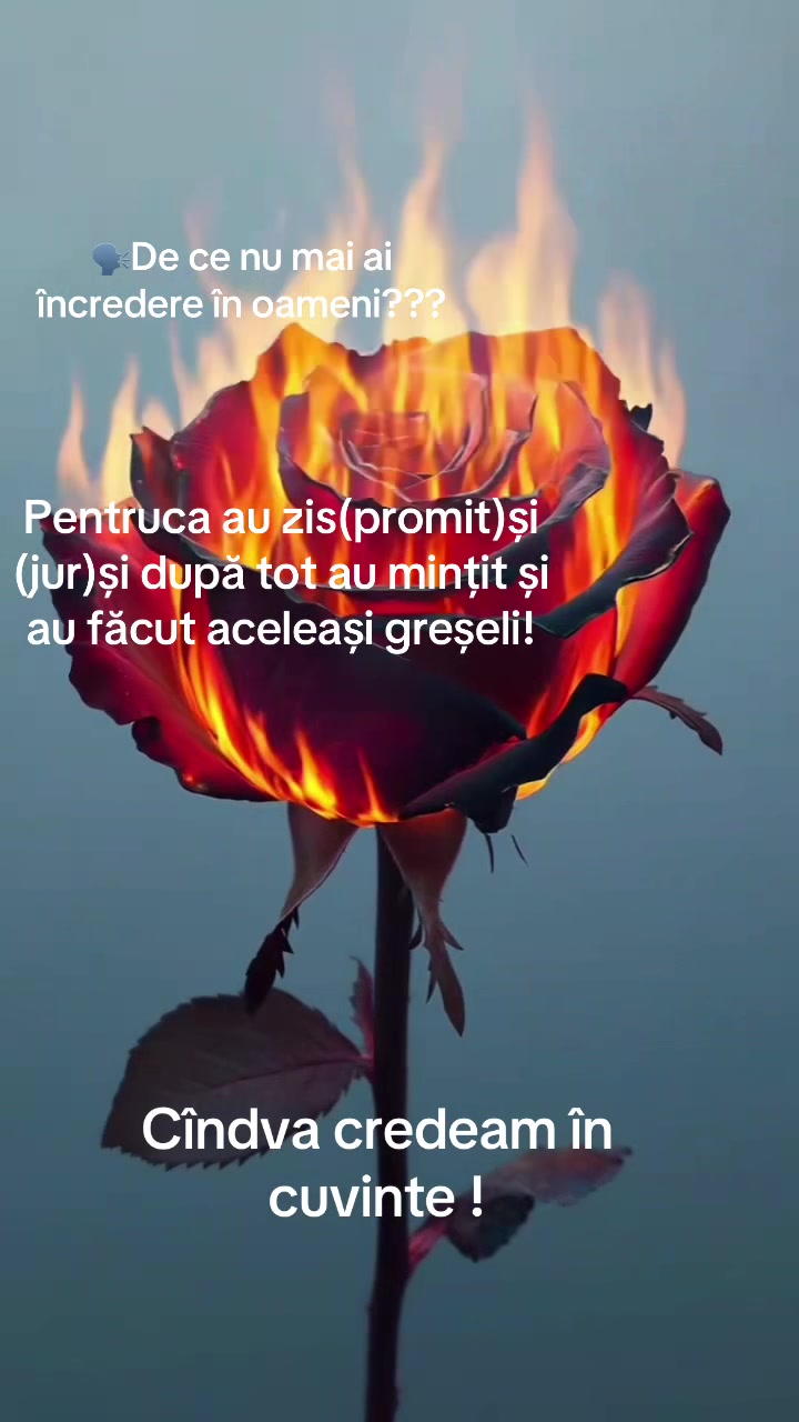 @Nina Cernea