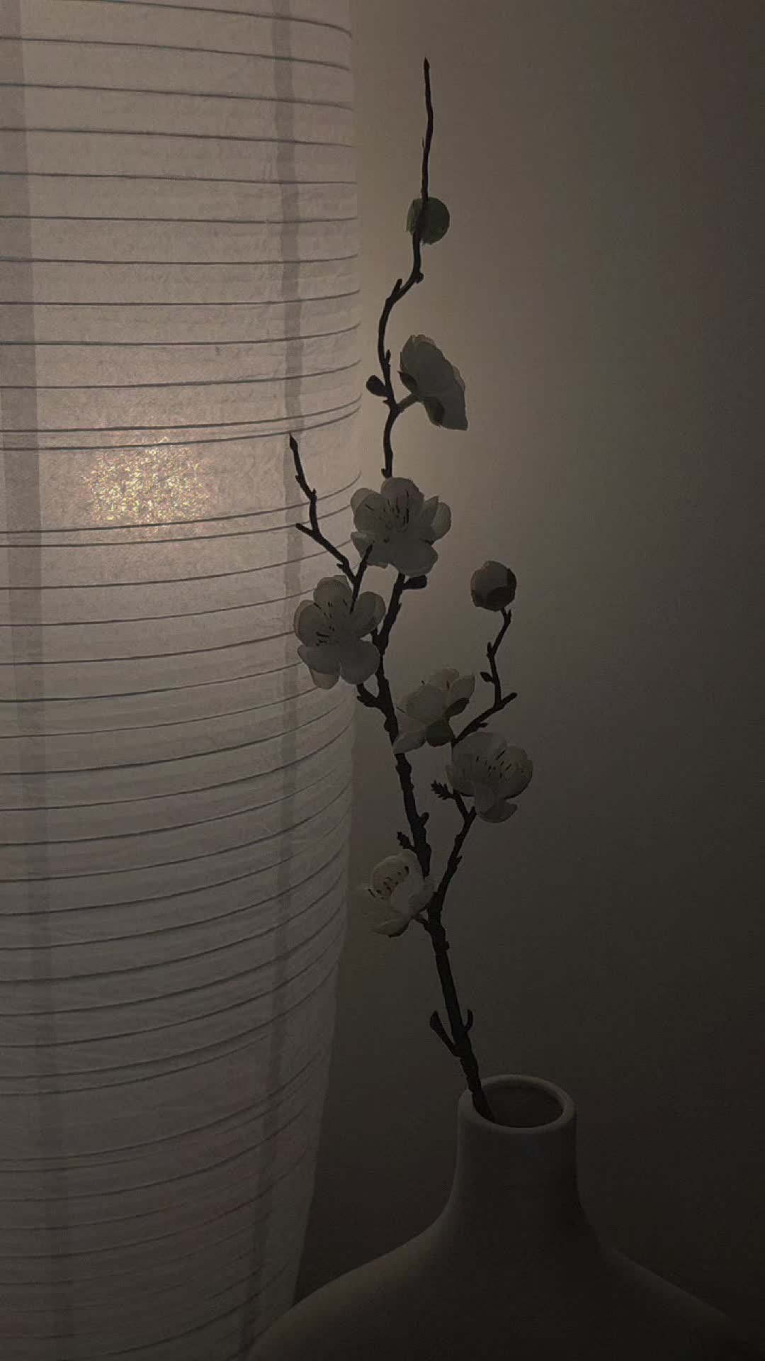 @альва ⋆.˚☾