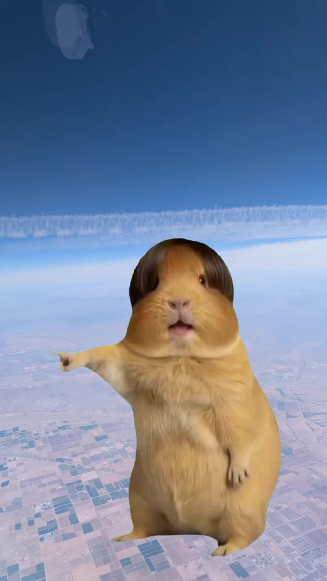 @Ajw602
