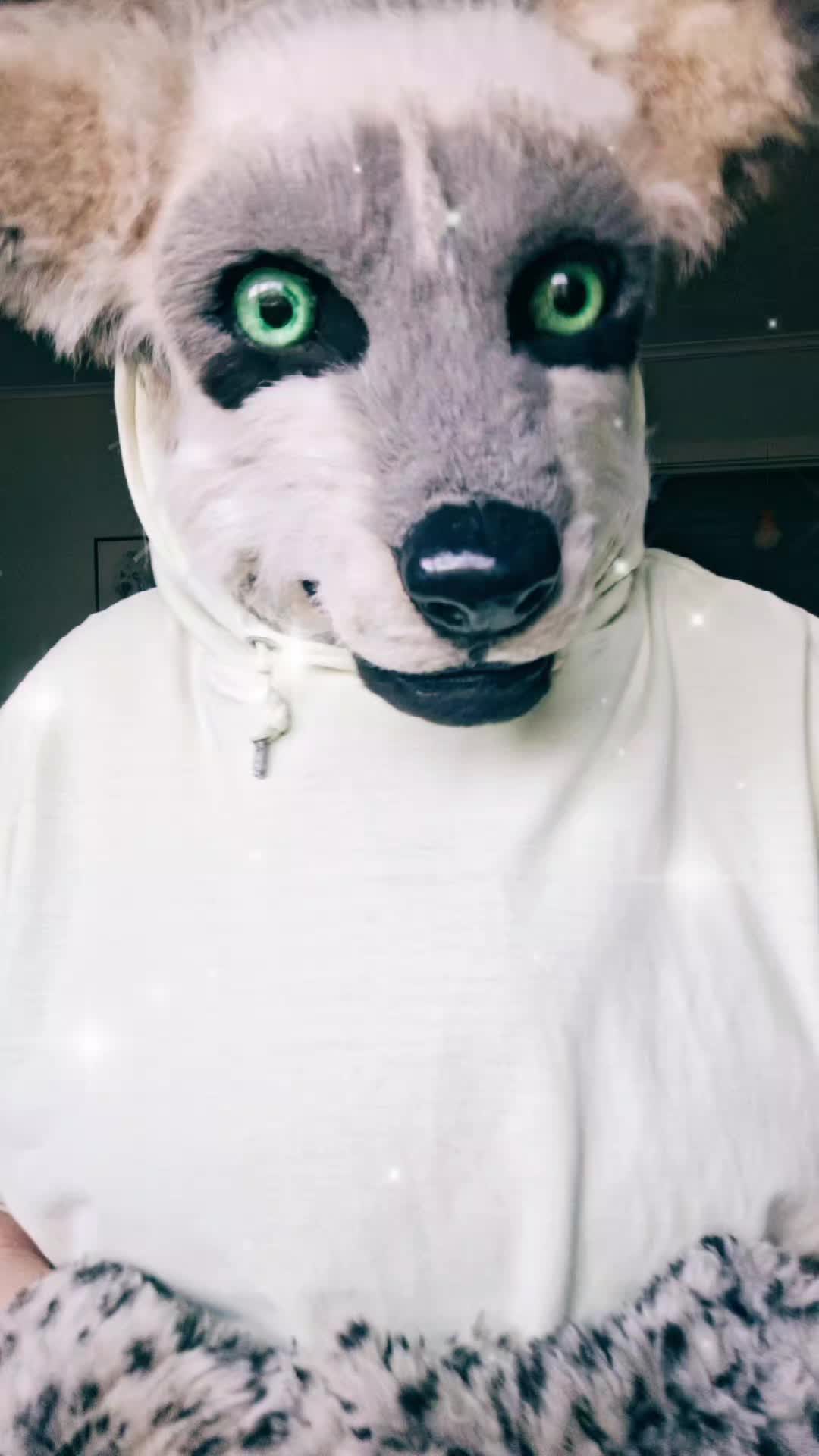 @ℂ/𝕃 🌟
