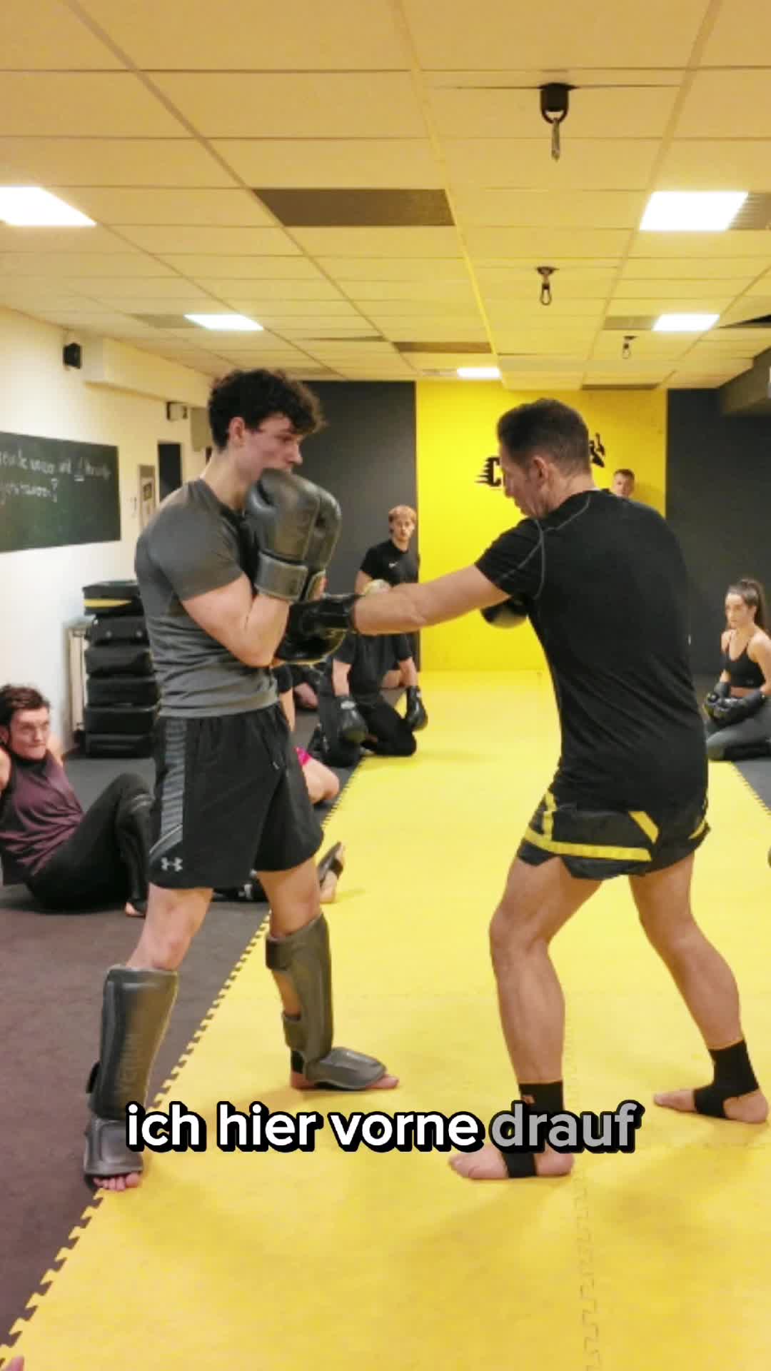 @DIEKICKBOXTRAINER