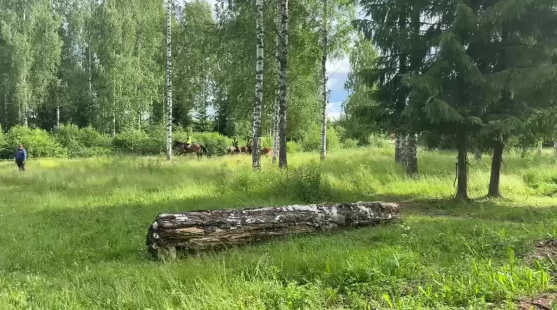 @Team.Toikkanen🇫🇮💞
