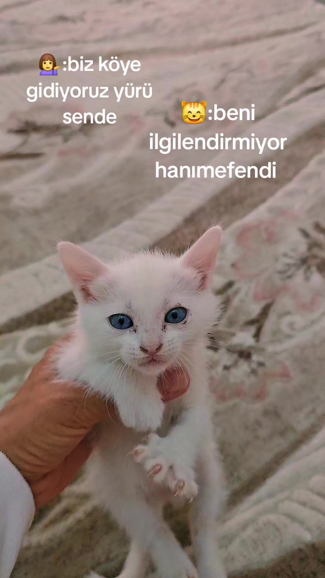 @de_mir.han_33