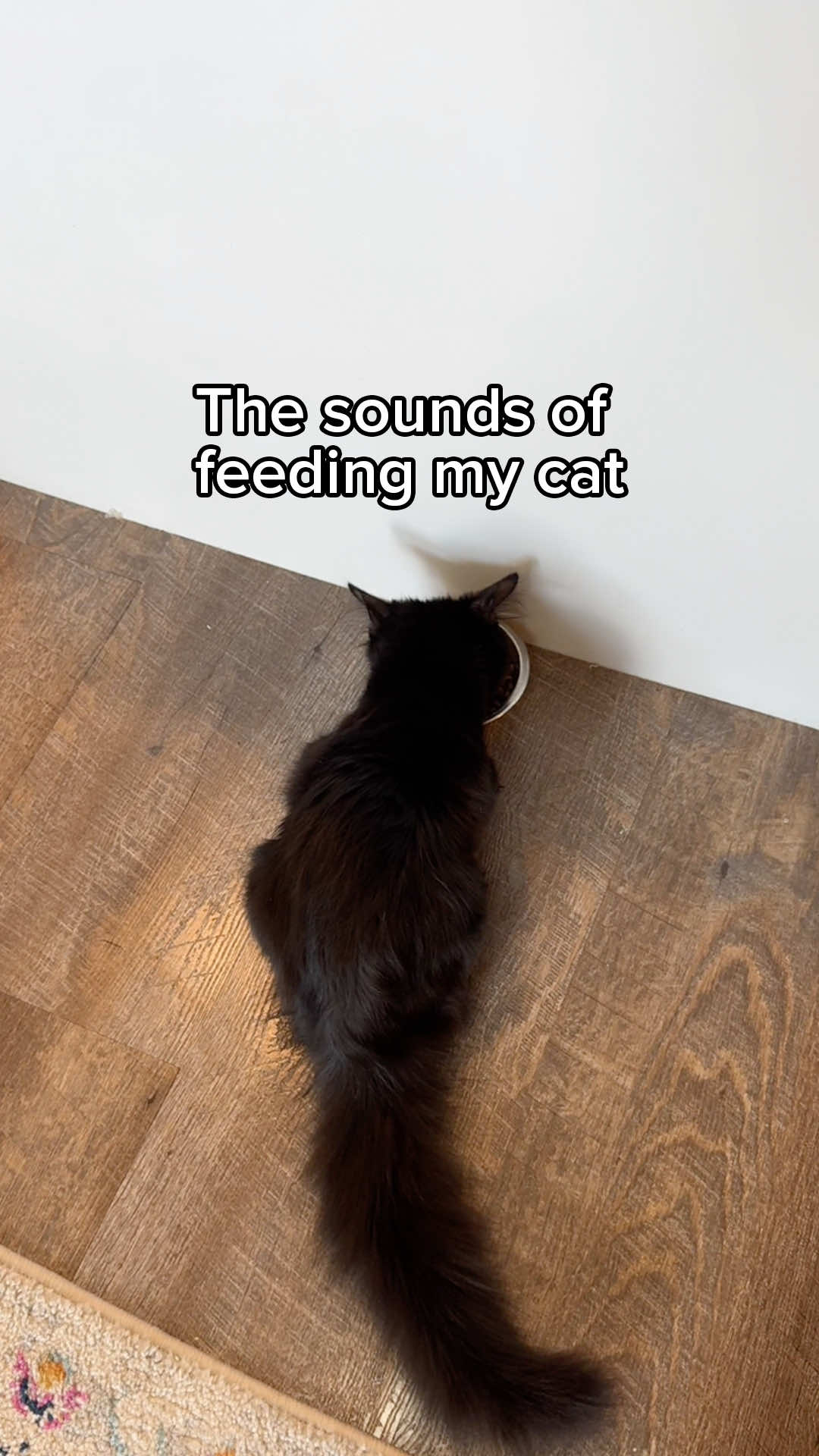 @Primal Pet