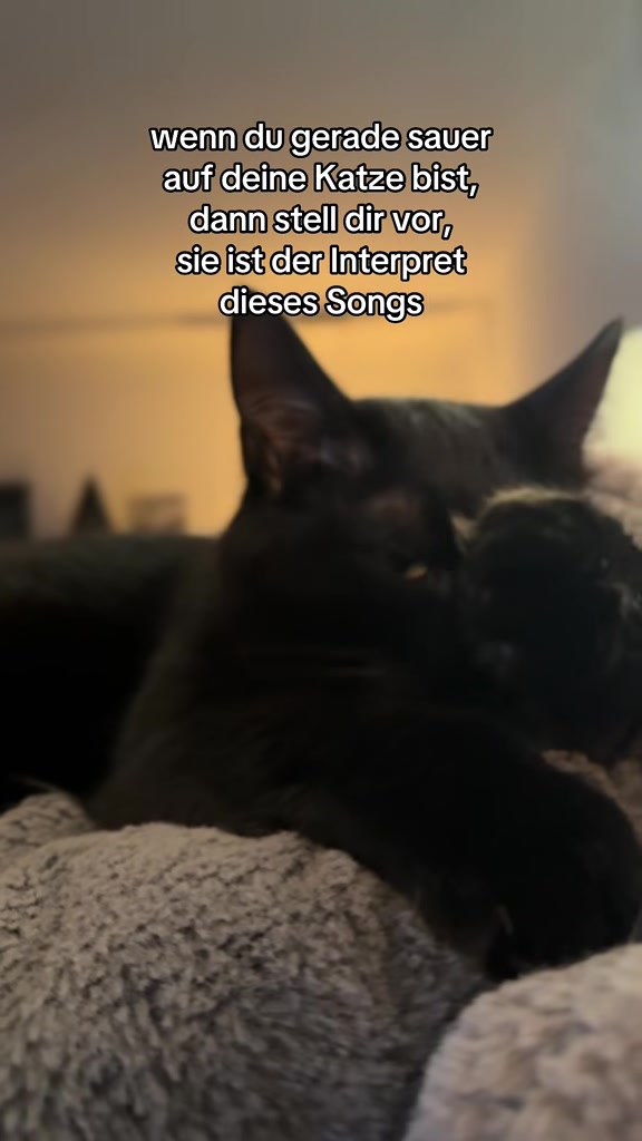 @Nala & Simba