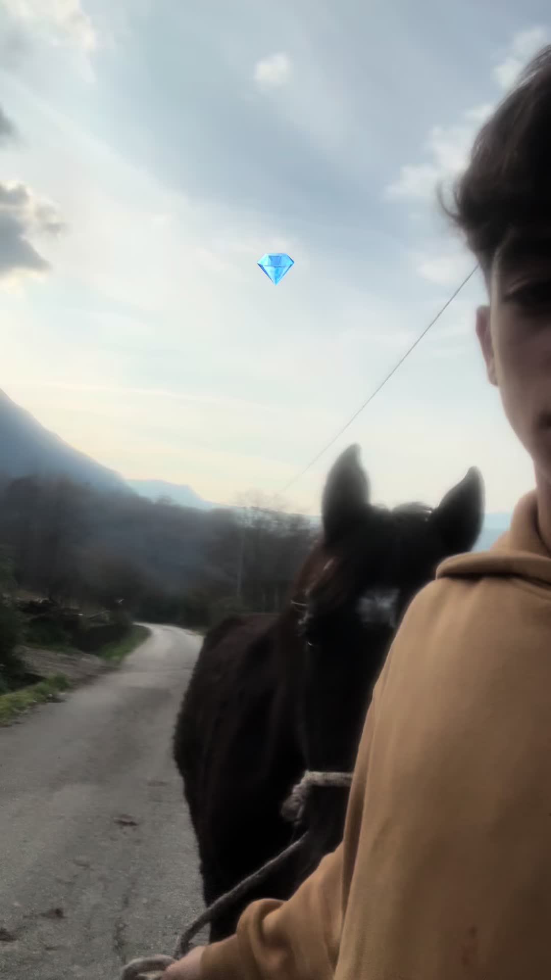 @Francesco Tortorella