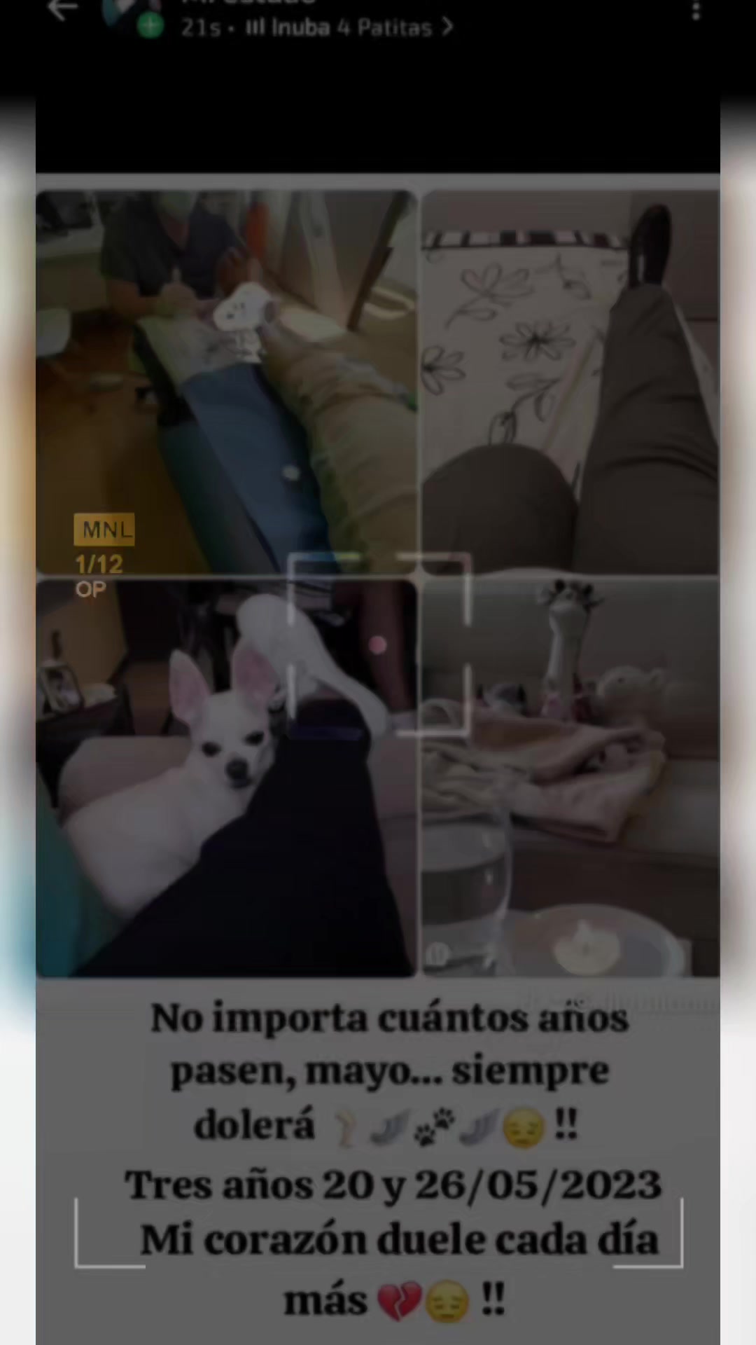@LilyTajonar🦵🏻🪽😔