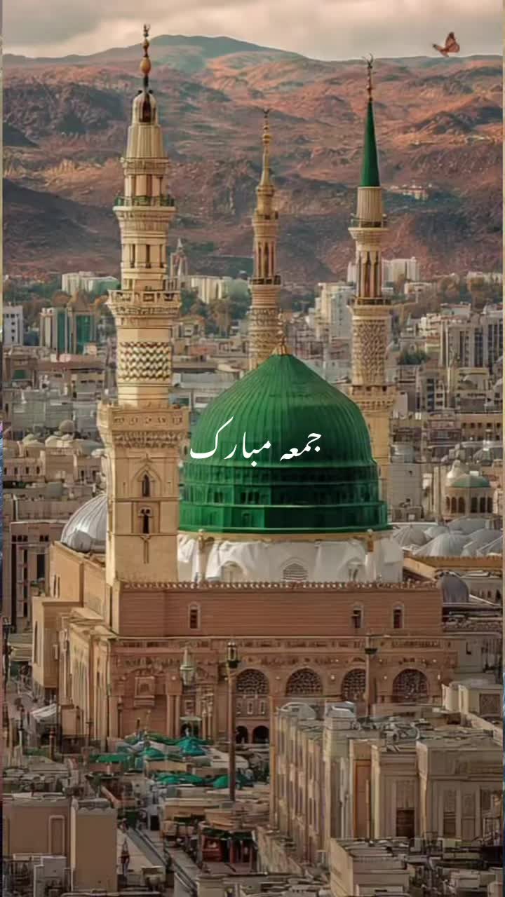 @Islamic Land
