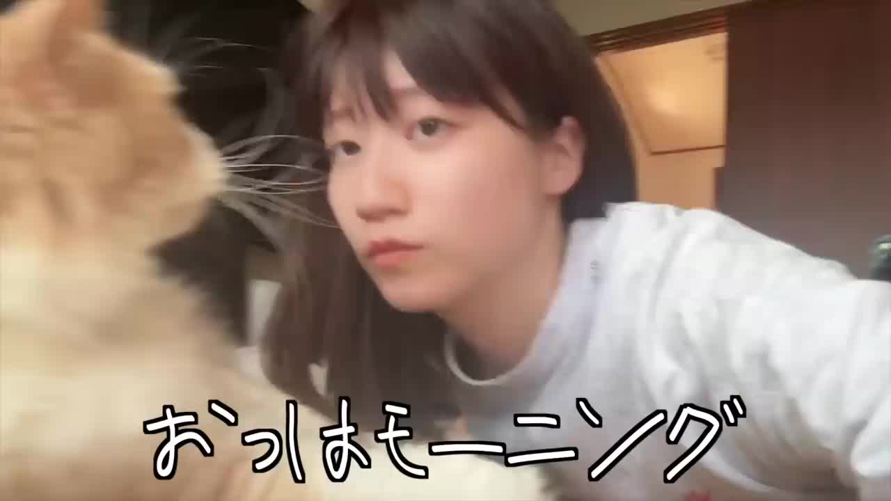 @user6660094969926