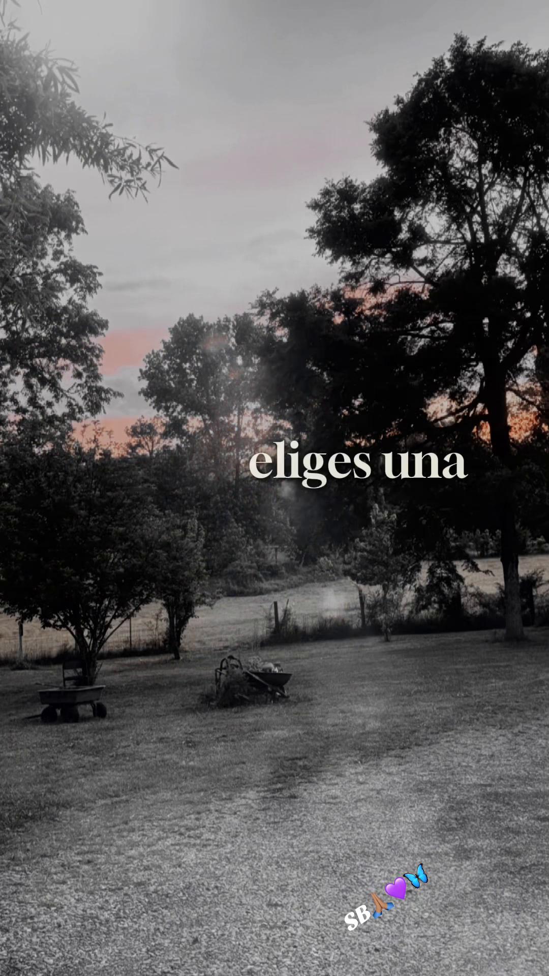 @Tity Bowen 🦋💜
