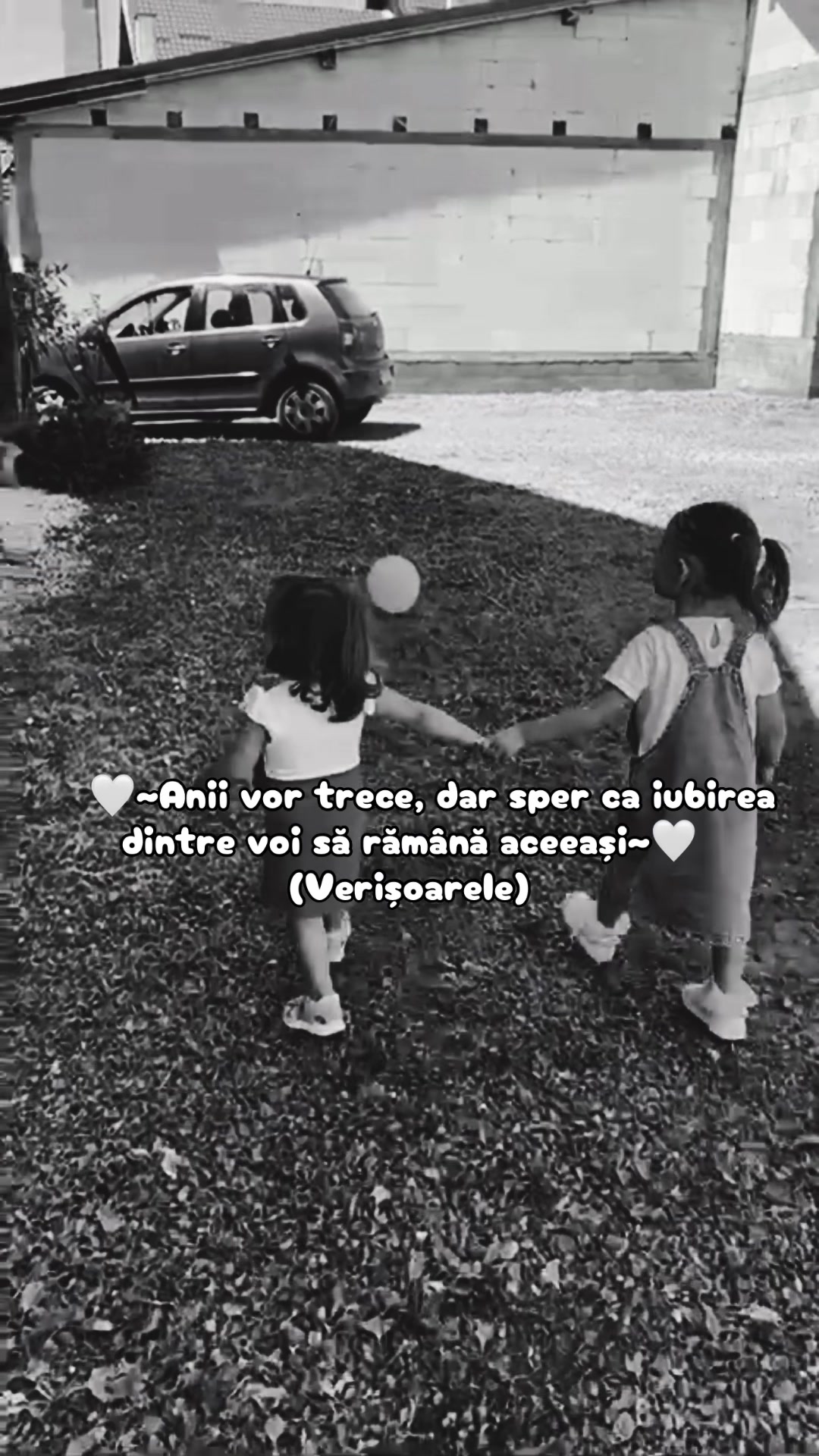 @Marcela Cengher