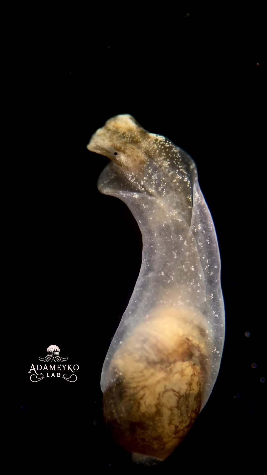 @The_story_of_a_biologist