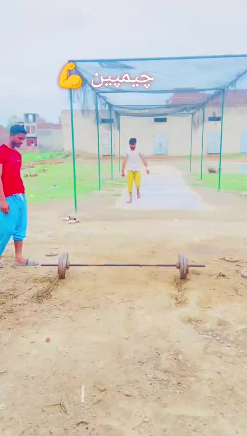 @WajidAli8080