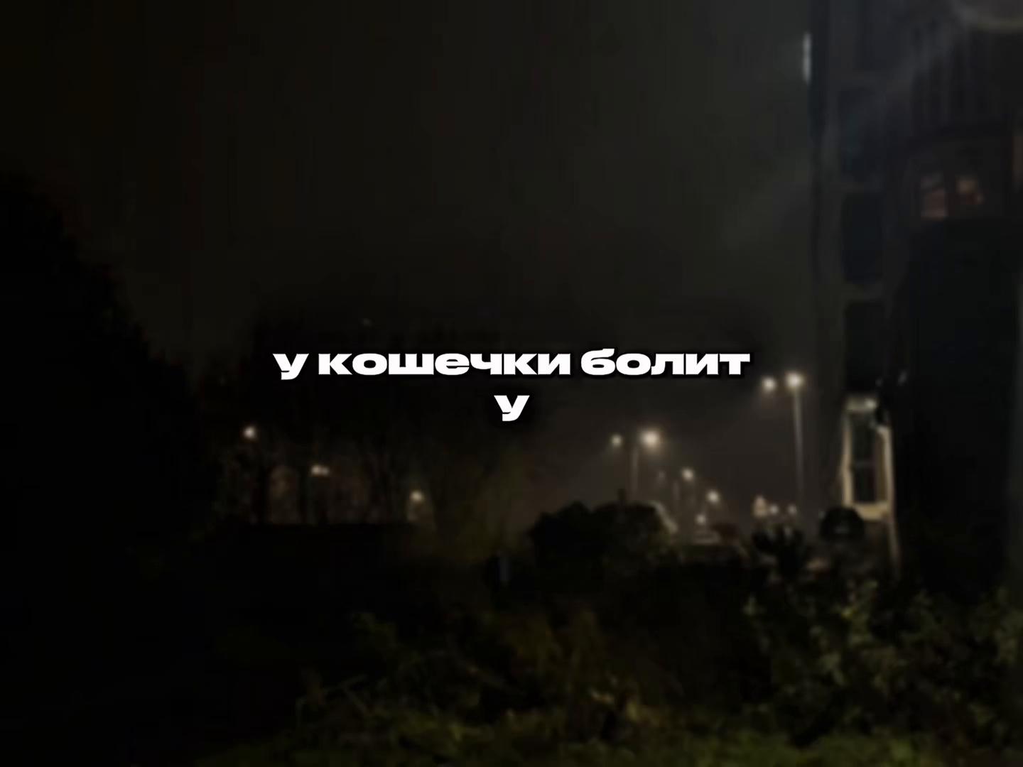 @твой липсинг