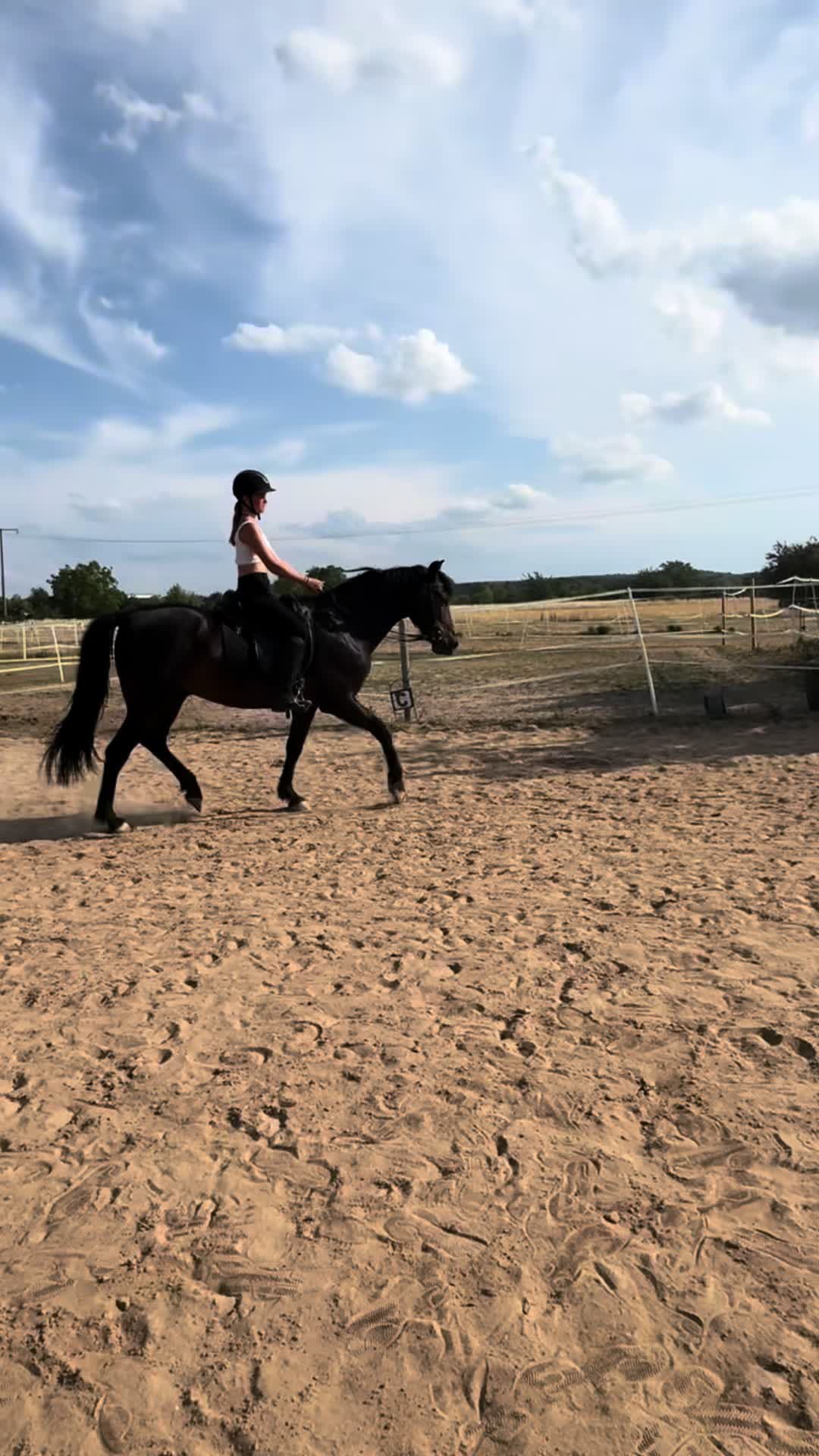 @leann.equest