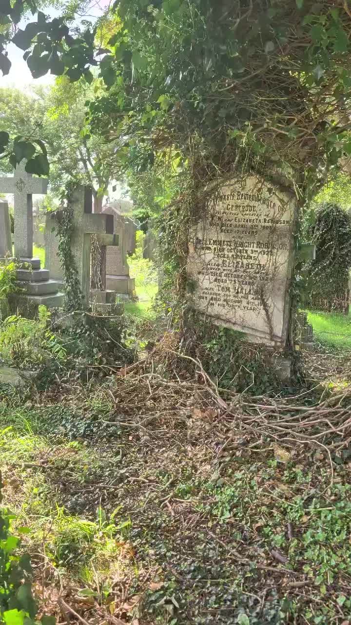 @GraveSnape🪦