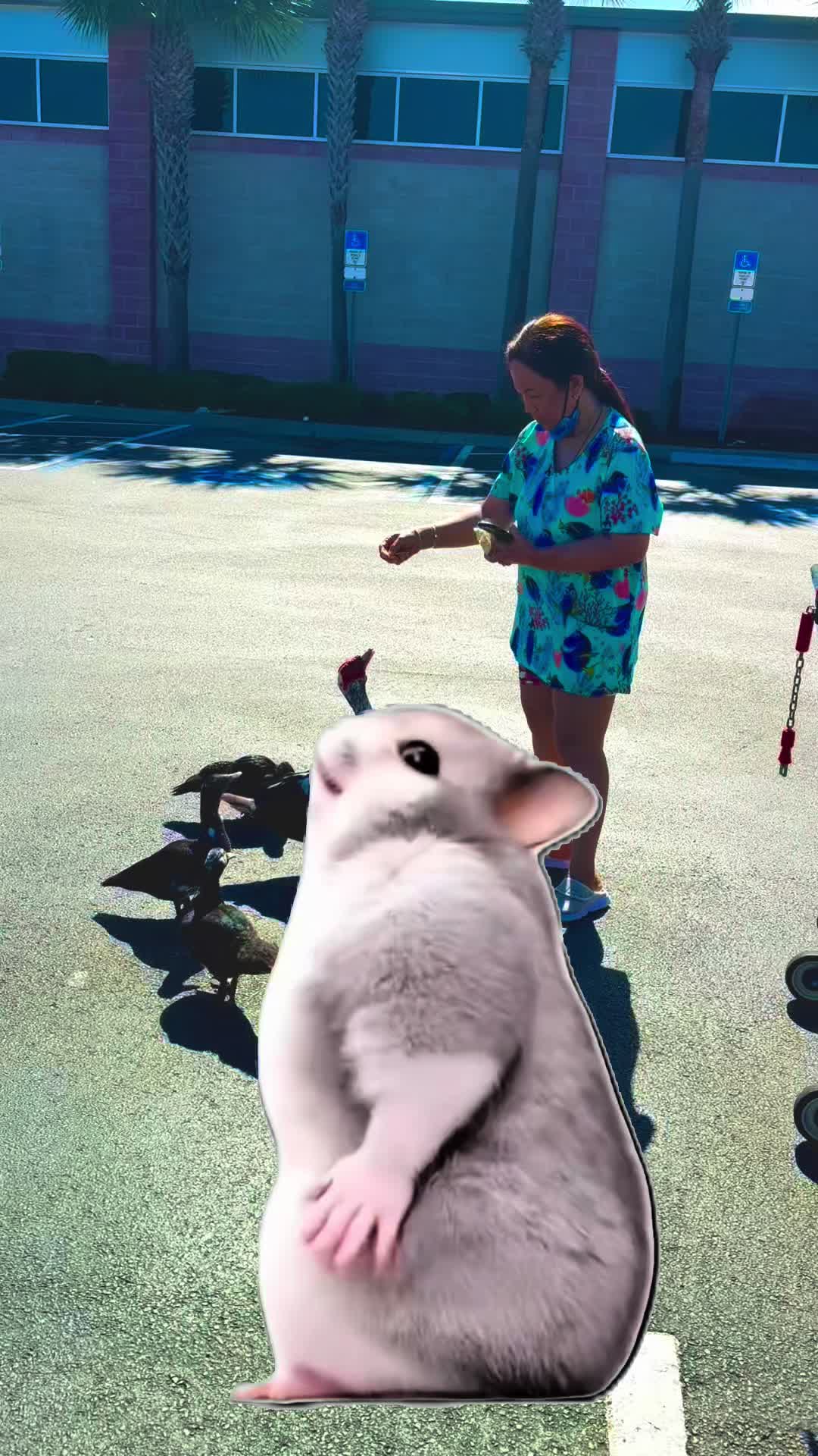 @max341989