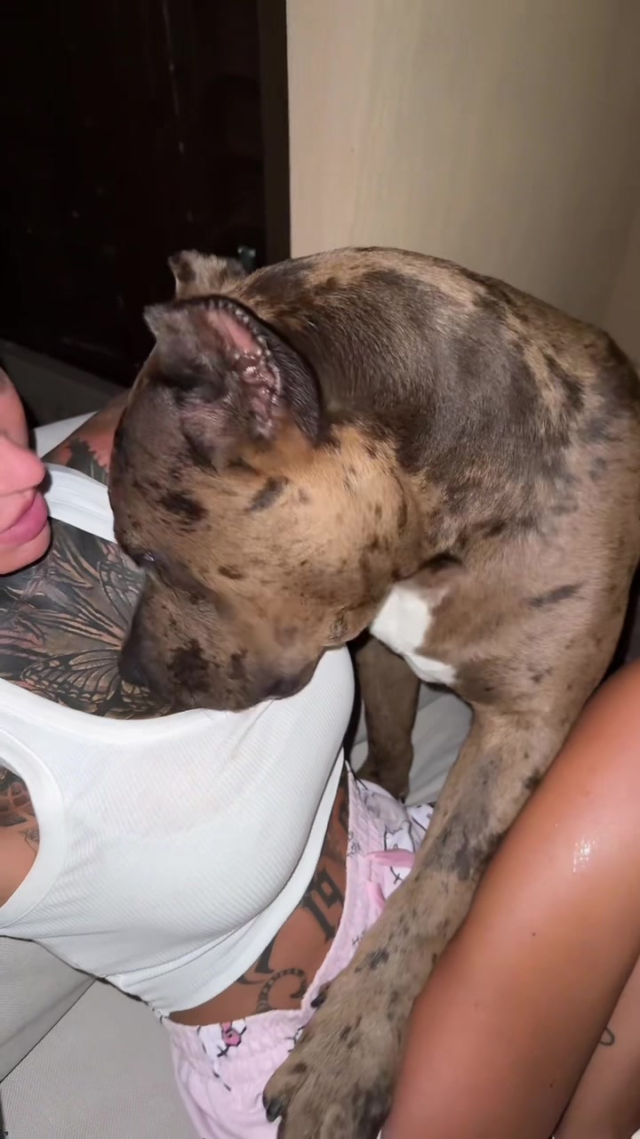 @bad.xlucyy