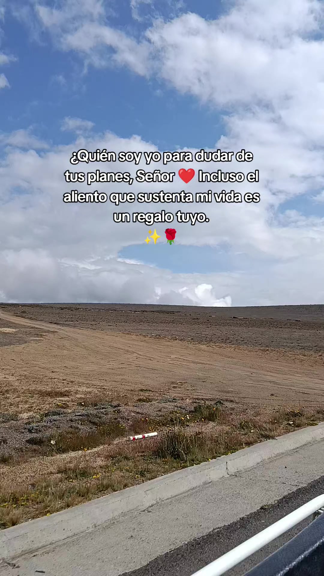 @Piedad_Romero💚