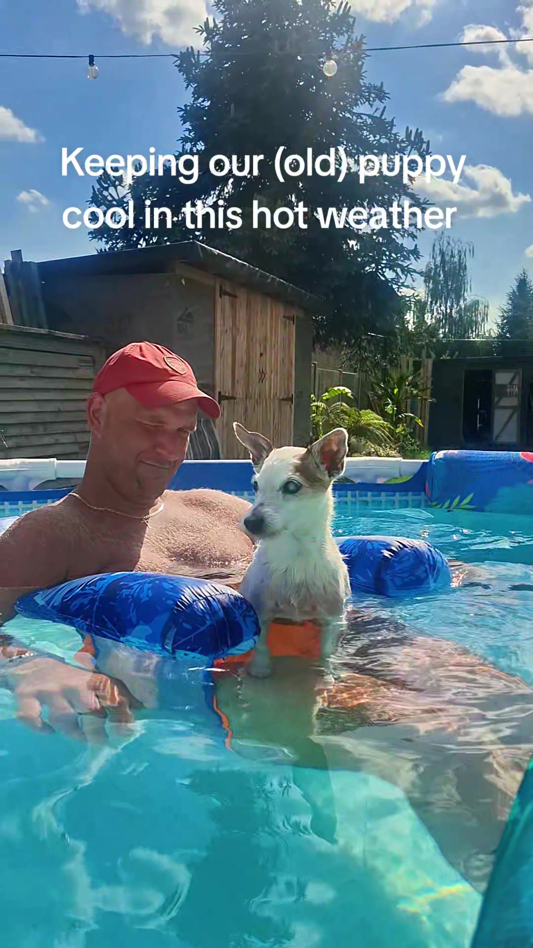 @#genxandherpets