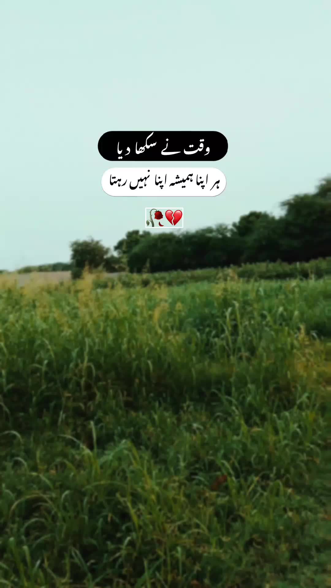 @🖤☬ ٹوٹا دِل ☬🖤