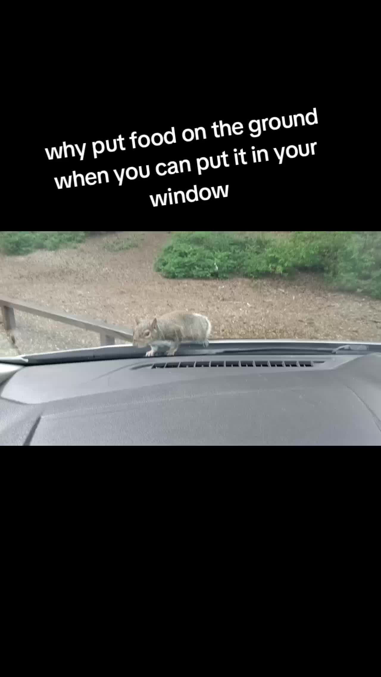 @Sean.Greiner_Silverton.Or