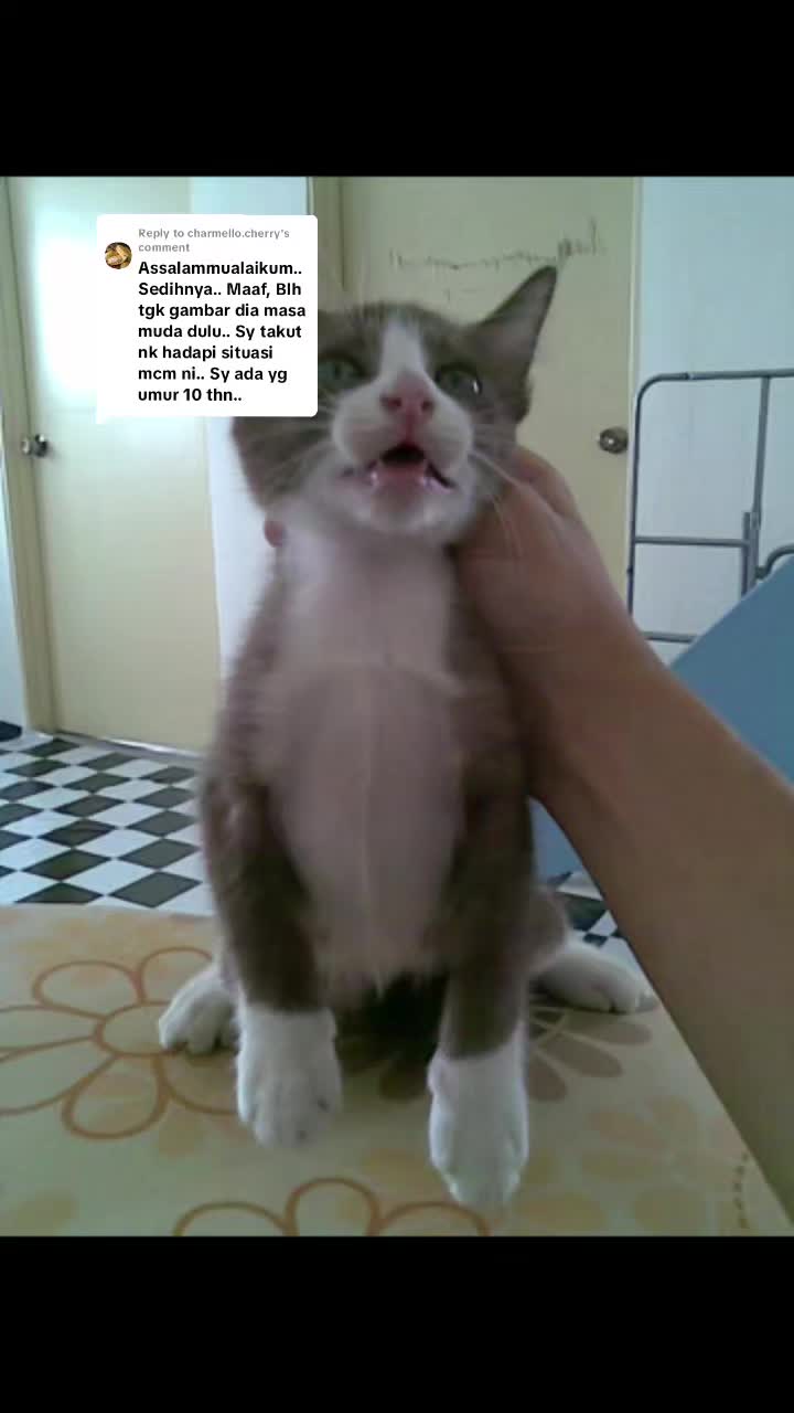 @𝙌𝙞𝙪