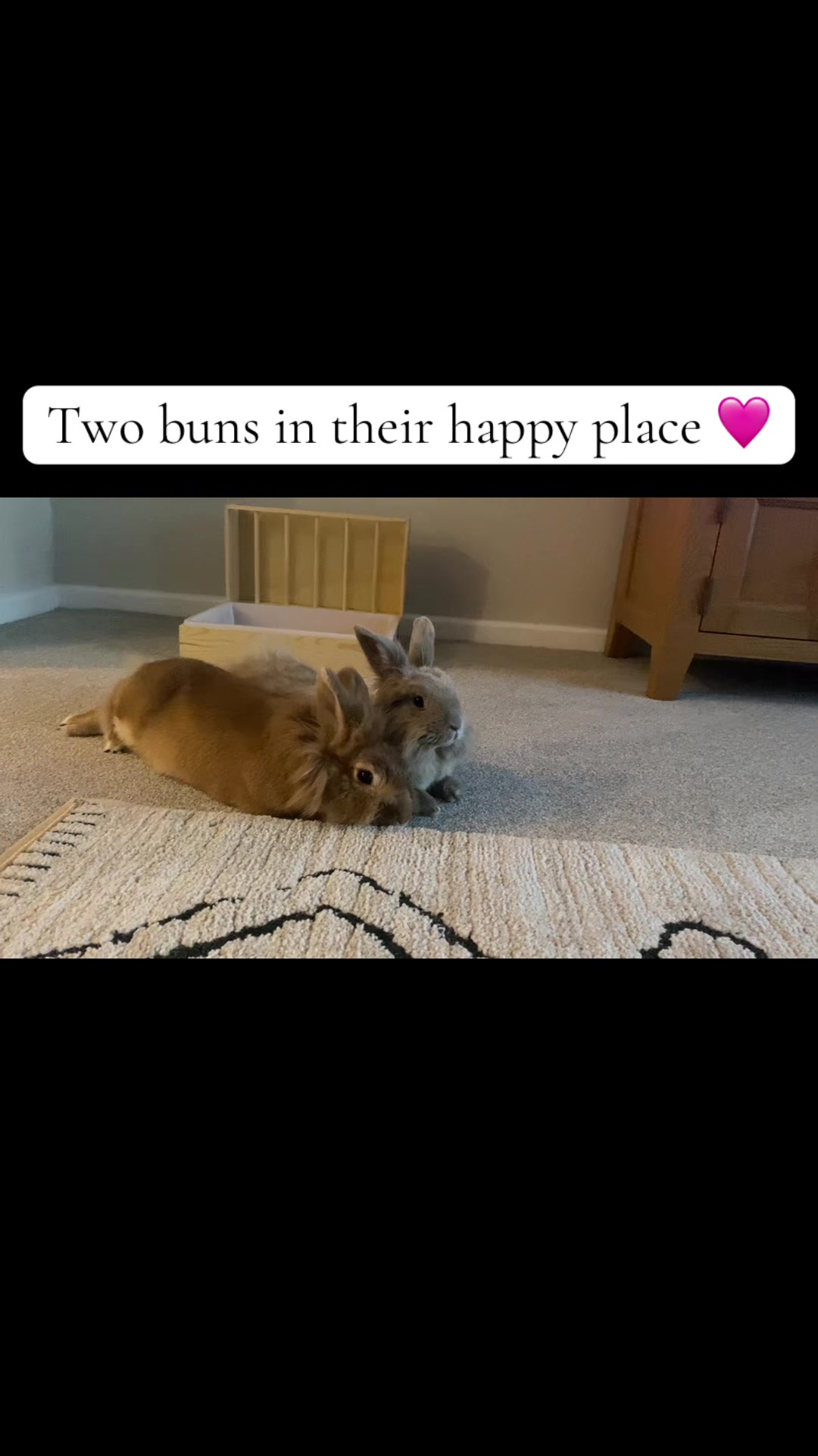 @Marmite🪽Toastie, Nala ♡