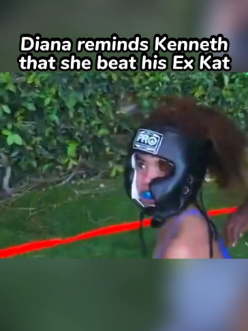 @notdianalim plug
