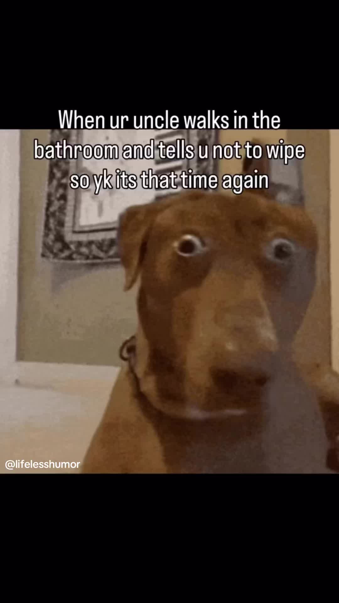 @lifelesshumor