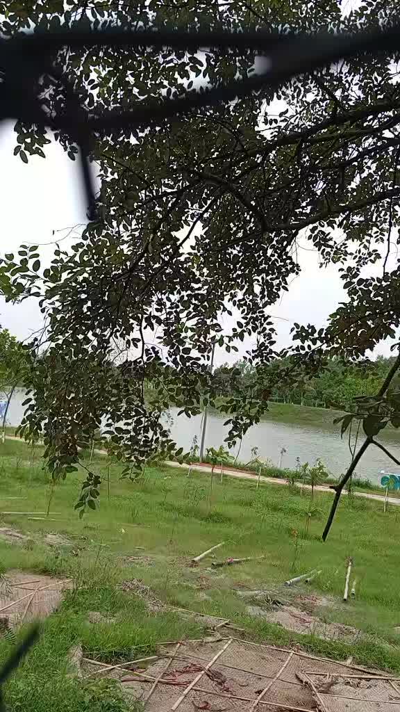 @ফুল🌸🌼