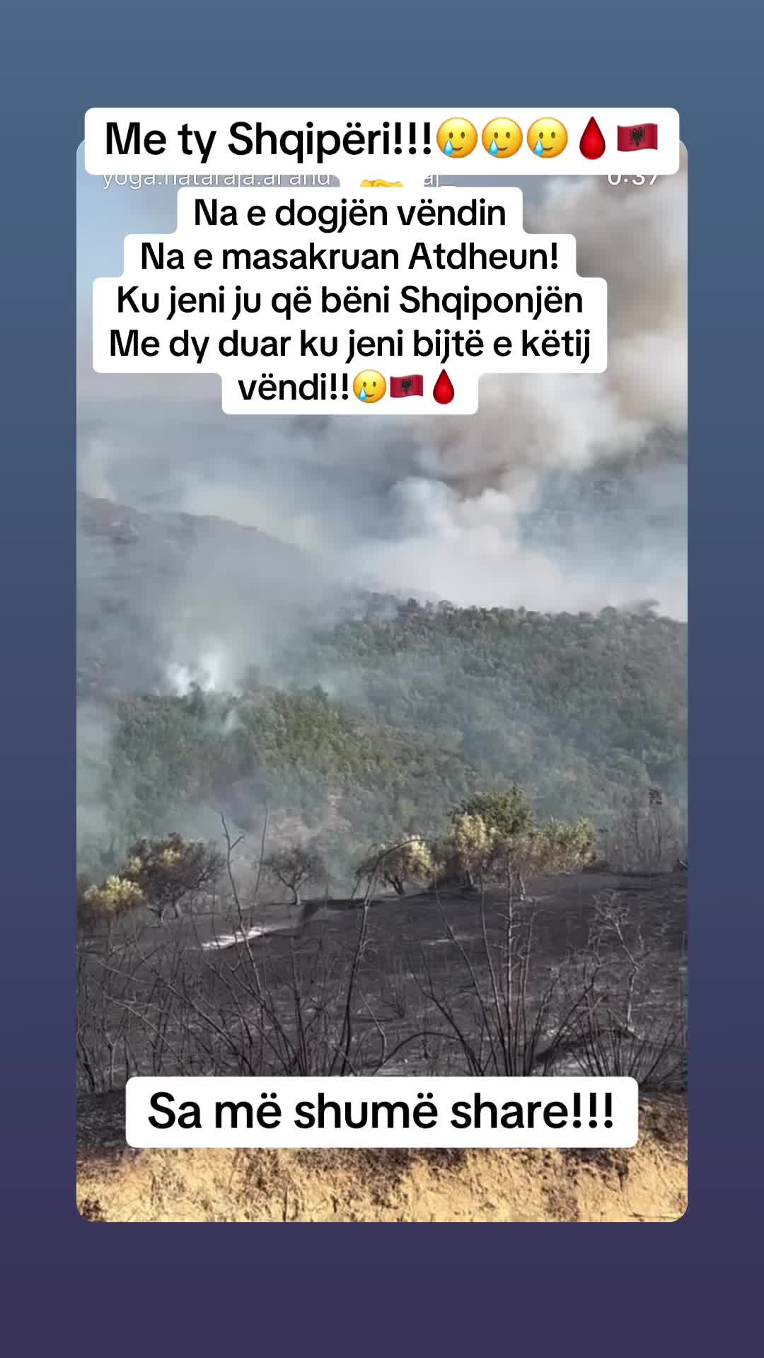 @🦋💎🇦🇱MIDE💎🦋🇦🇱