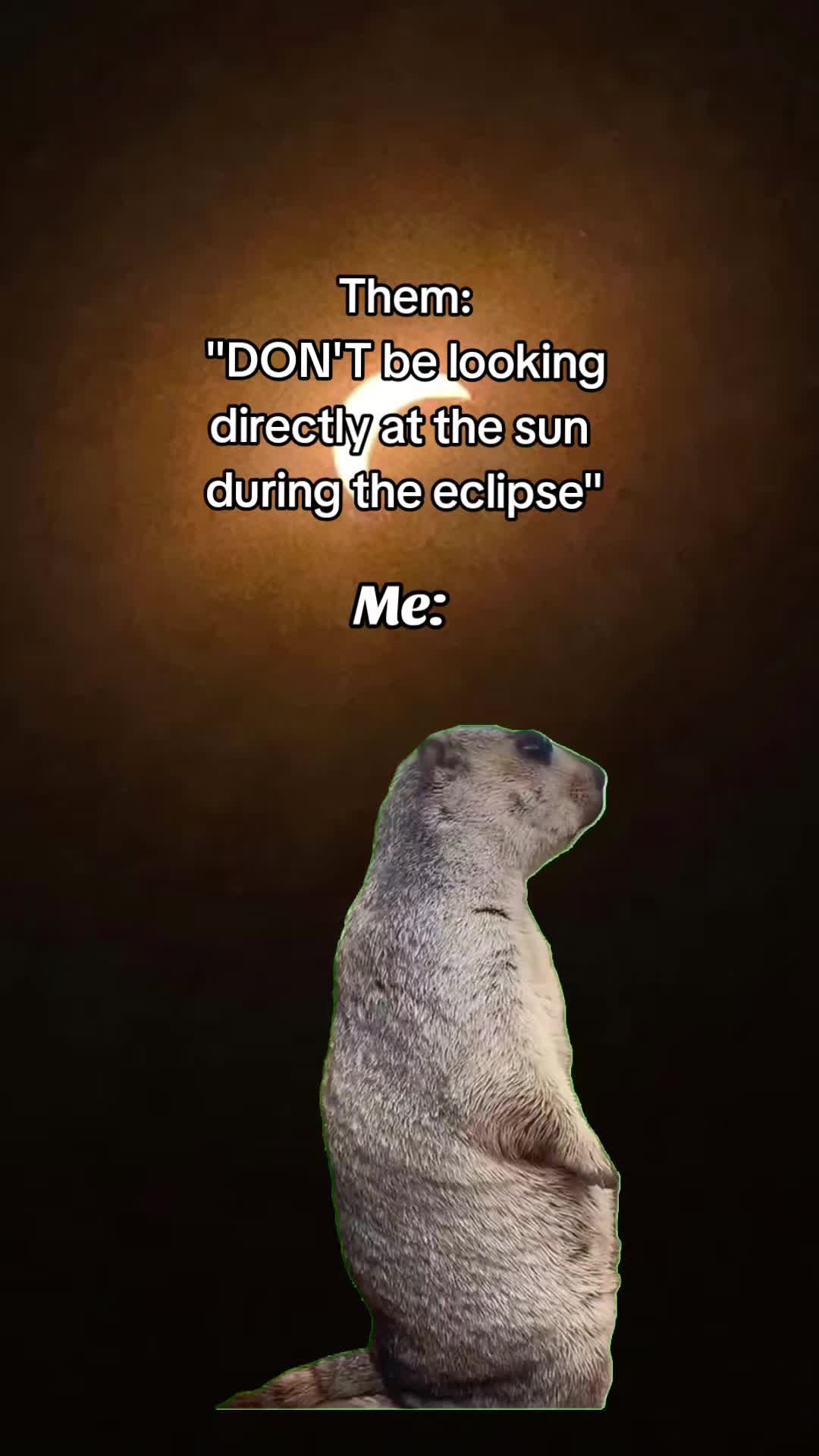 @Julie ๐