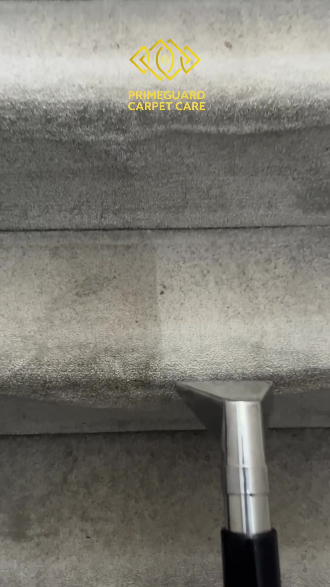 @Primeguard Carpet Care