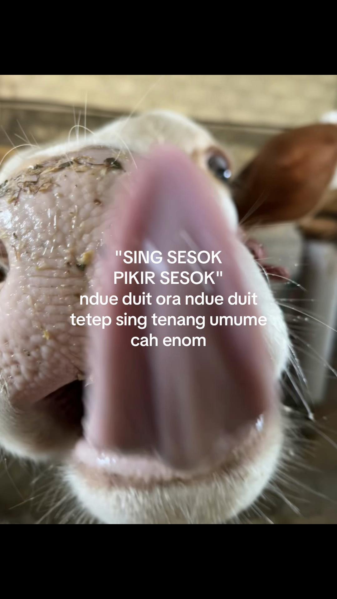 @Diah ayu komalasari