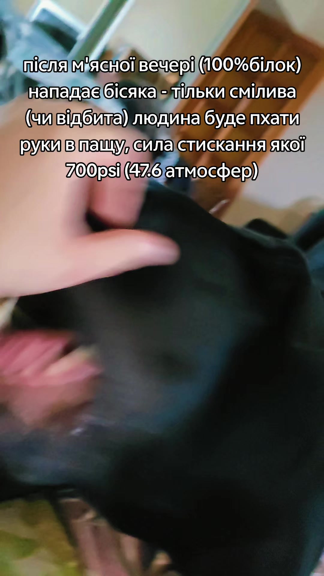 @Олег Пинчук